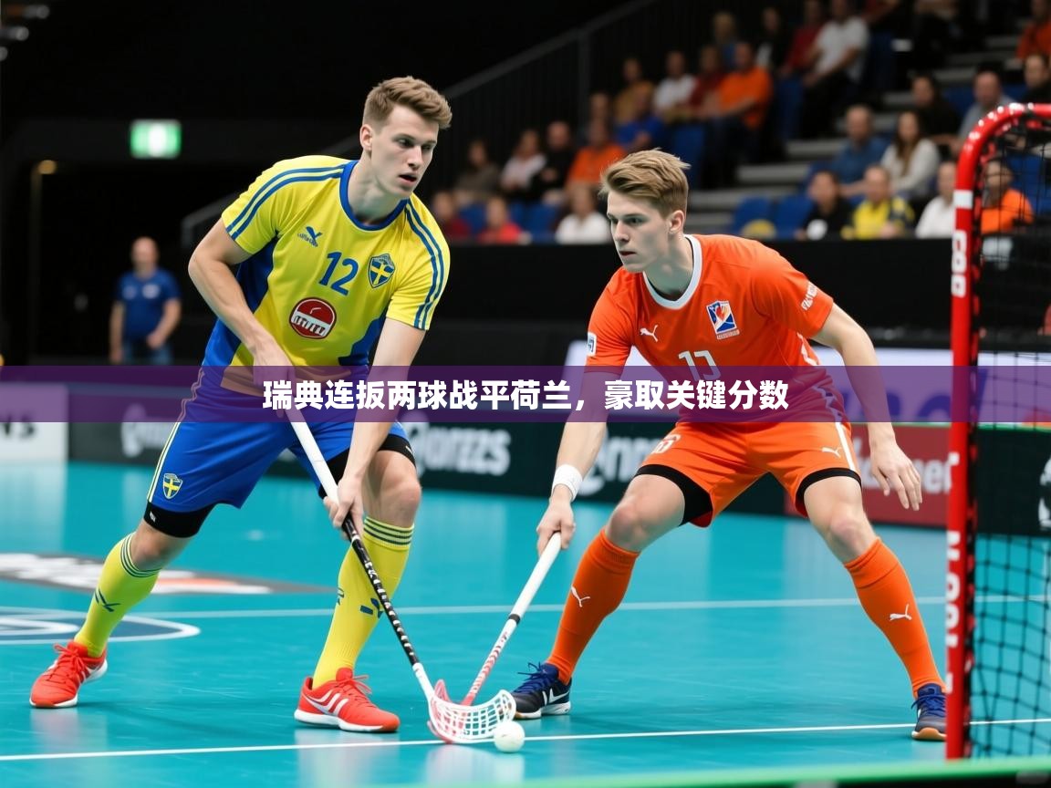 2025 百家乐怎么玩瑞典连扳两球战平荷兰,豪取关键分数  第3张