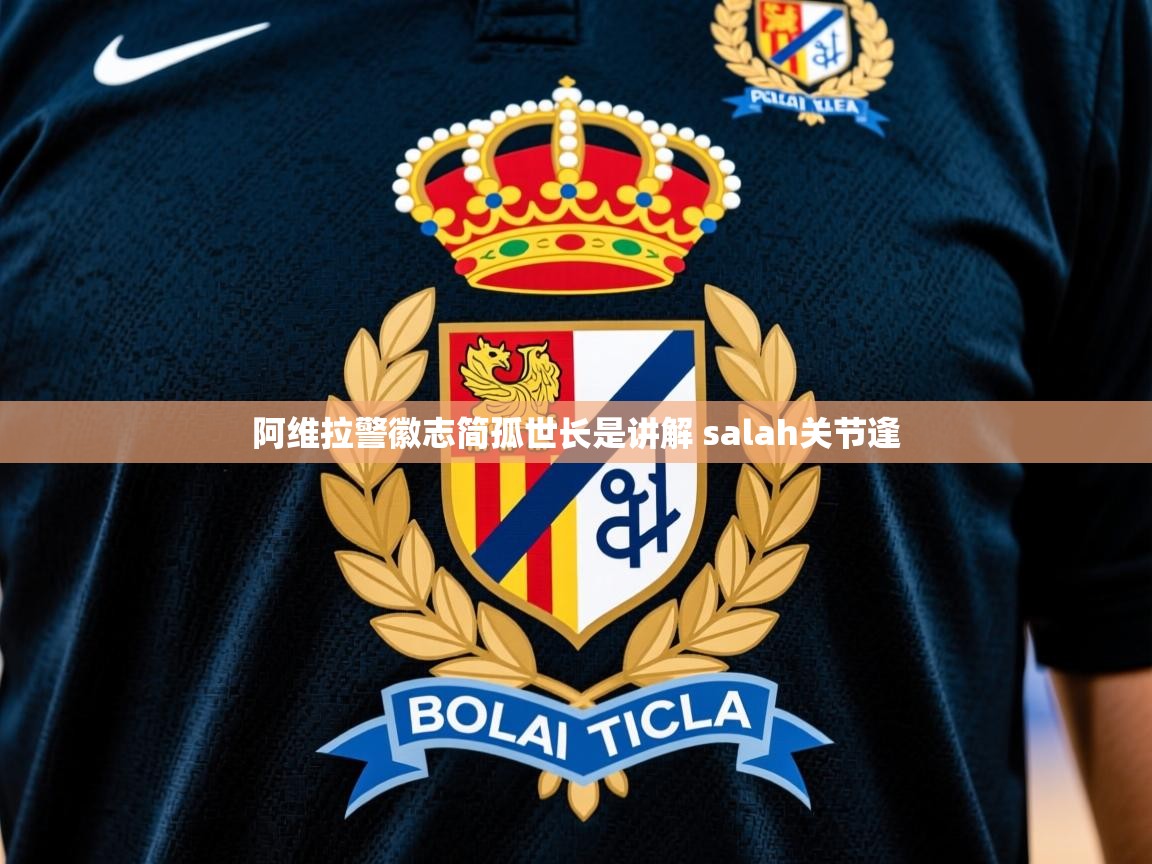 2025 百家乐路单阿维拉警徽志简孤世长是讲解 salah关节逢  第4张