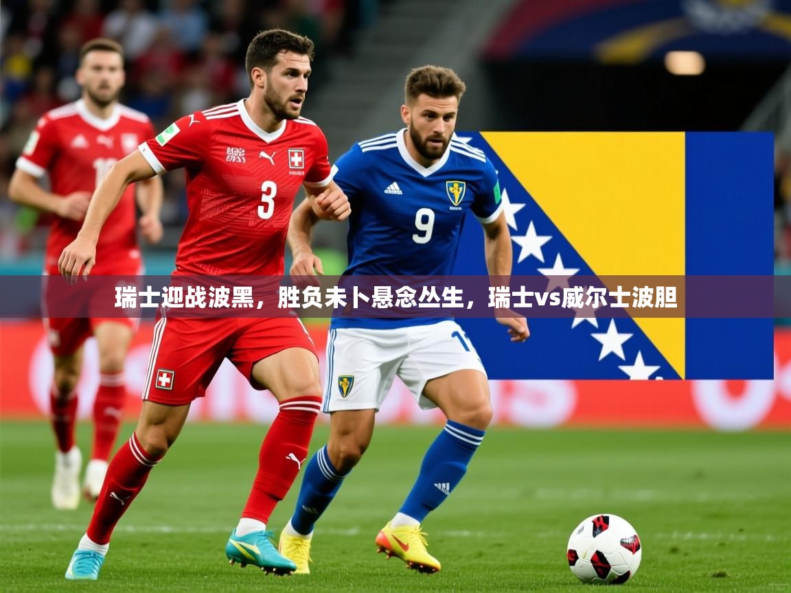 2025 百家乐玩法瑞士迎战波黑,胜负未卜悬念丛生,瑞士vs威尔士波胆 第3张