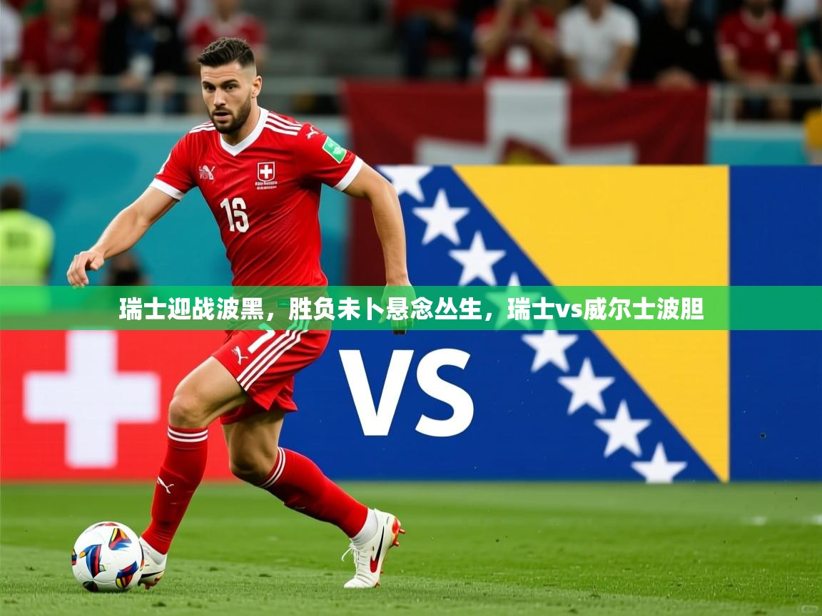 2025 百家乐玩法瑞士迎战波黑,胜负未卜悬念丛生,瑞士vs威尔士波胆 第4张