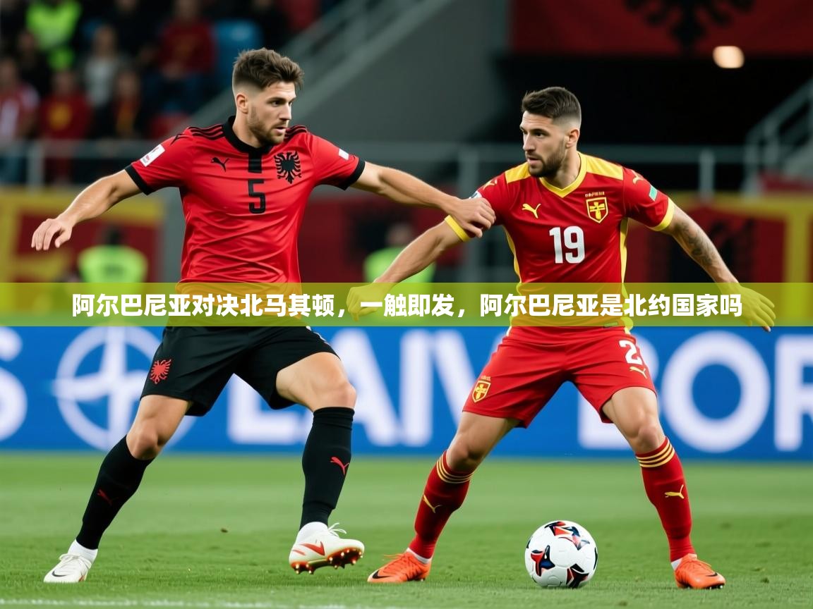 2025 百家乐规则阿尔巴尼亚对决北马其顿，一触即发，阿尔巴尼亚是北约国家吗  第3张