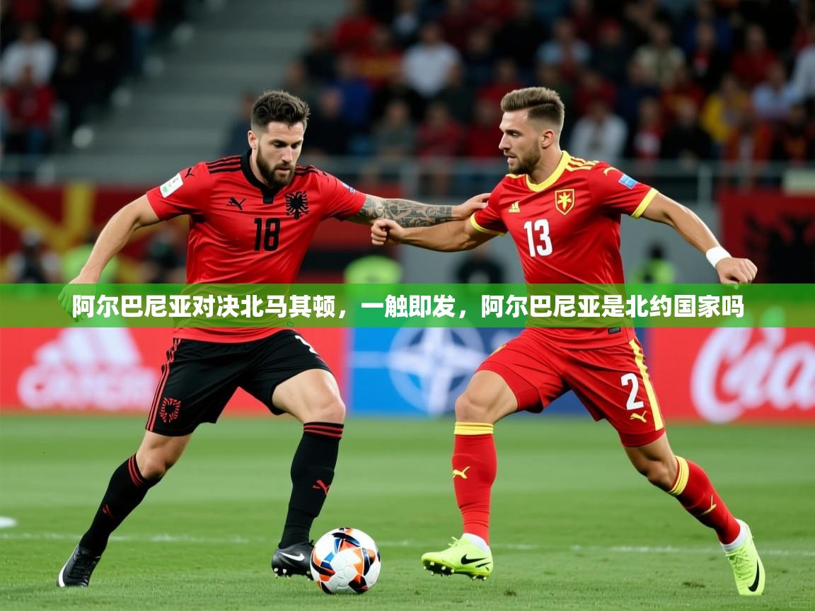 2025 百家乐规则阿尔巴尼亚对决北马其顿，一触即发，阿尔巴尼亚是北约国家吗  第4张