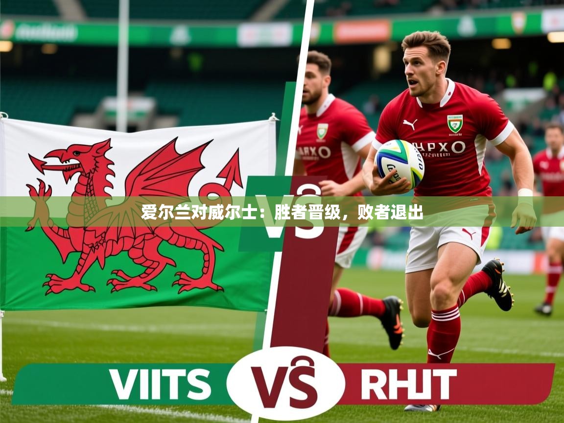 2025 百家乐规则爱尔兰对威尔士:胜者晋级,败者退出 第1张