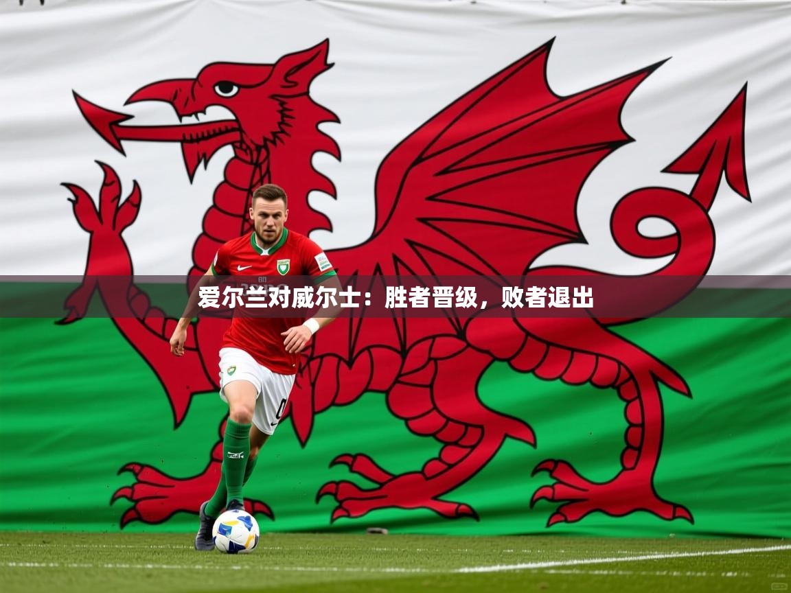 2025 百家乐规则爱尔兰对威尔士:胜者晋级,败者退出 第2张