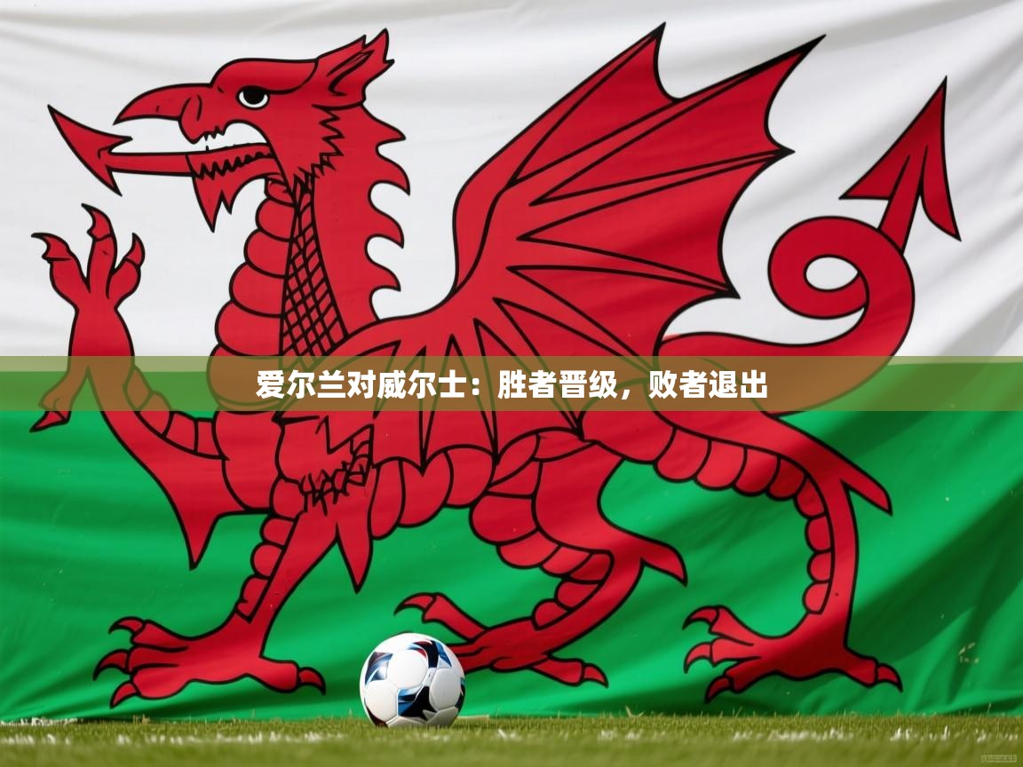 2025 百家乐规则爱尔兰对威尔士:胜者晋级,败者退出 第3张