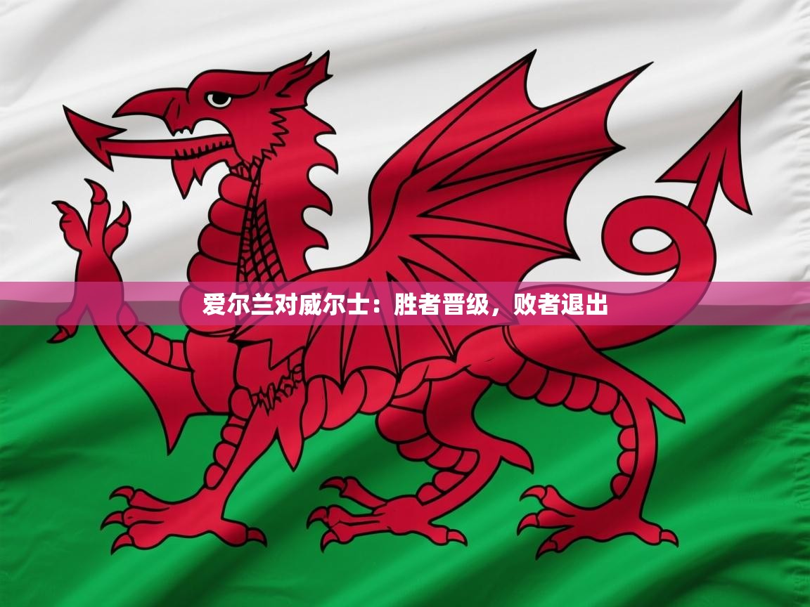 2025 百家乐规则爱尔兰对威尔士:胜者晋级,败者退出 第4张