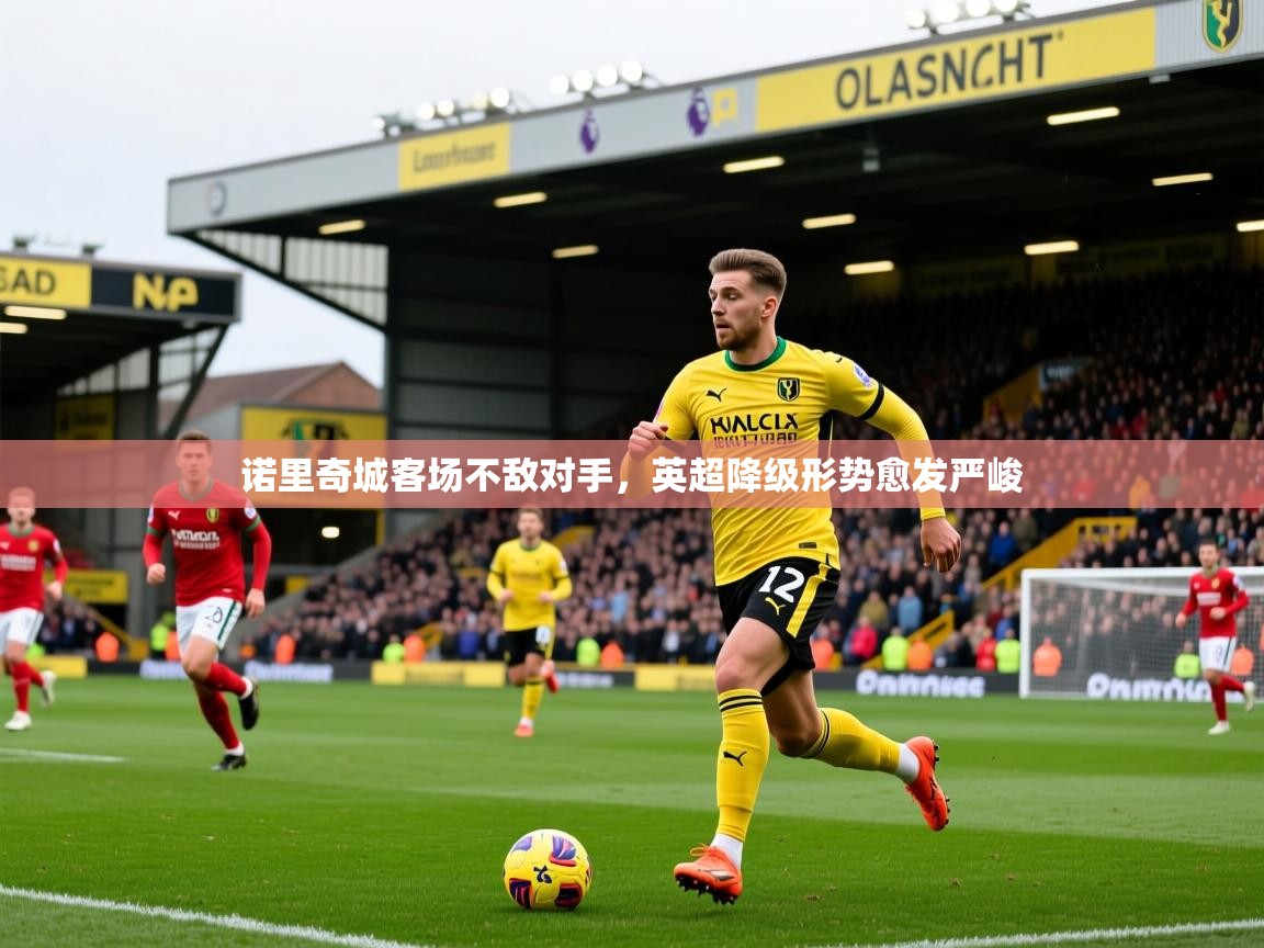 2026 百家乐怎么玩诺里奇城客场不敌对手，英超降级形势愈发严峻  第1张
