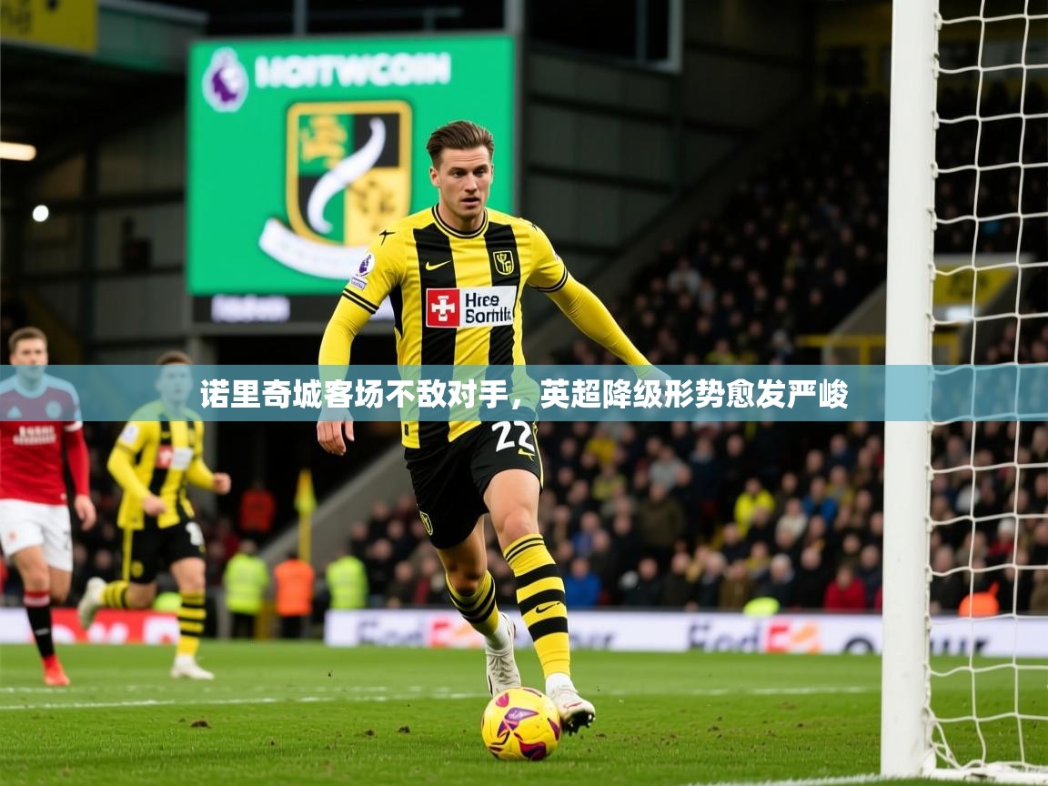 2026 百家乐怎么玩诺里奇城客场不敌对手，英超降级形势愈发严峻  第4张